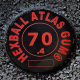 Boule fitness - Hexball® ATLAS GUM 70kg